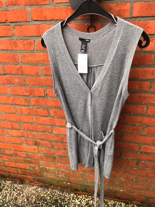Met label: Nieuw grijs mouwloos H&M Vest met zakken maat M, Kleding | Dames, Truien en Vesten, Nieuw, Maat 38/40 (M), Grijs, Ophalen of Verzenden