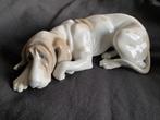 Lladro Old Dog Basset, Verzamelen, Beelden en Beeldjes, Ophalen of Verzenden, Zo goed als nieuw, Dier