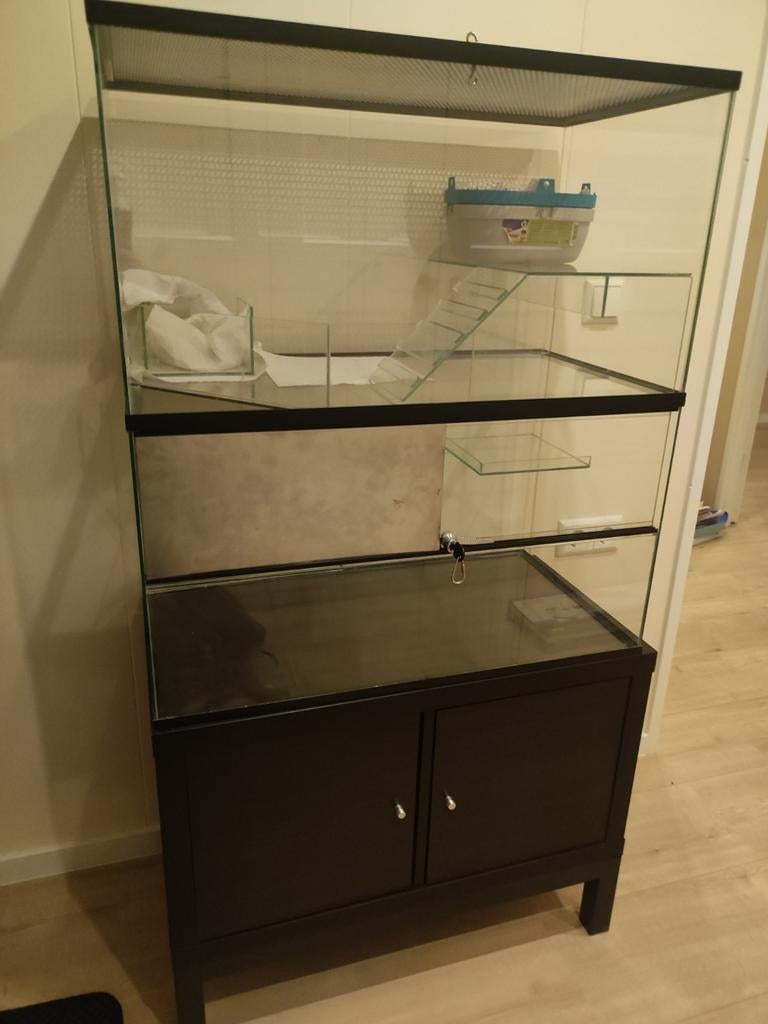 Gerbil/hamster terrarium, Zo goed als nieuw, Ophalen, Minder dan 60 cm, Hok