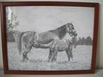 Tekening van Paard met Veulen in Lijst - 33 x 43 cm - Nieuw, Antiek en Kunst, Ophalen of Verzenden