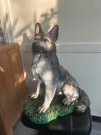Duitse herder beelden, Ophalen of Verzenden, Dier