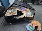 Hamsterkooi compleet, Dieren en Toebehoren, Ophalen, Minder dan 75 cm, Kooi, Minder dan 60 cm
