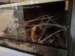 Terrarium te koop!, Ophalen, Gebruikt, Terrarium of Paludarium