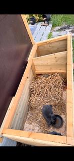 Groot houten konijnenhok, Ophalen, Zo goed als nieuw, Kippenhok of Kippenren