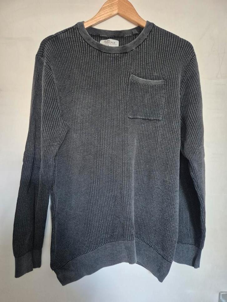 Jean Pascale Trui Maat L, Kleding | Heren, Truien en Vesten, Zo goed als nieuw, Maat 52/54 (L), Grijs, Ophalen of Verzenden