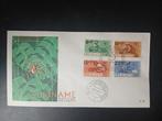 Suriname 1965 - FDC E39, Ophalen of Verzenden, Onbeschreven, Rest van de wereld