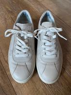 Tod’s sneakers, maat 7/41, Kleding | Heren, Schoenen, Tod’s, Overige kleuren, Ophalen of Verzenden, Sneakers of Gympen