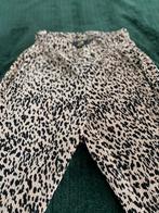 Flairbroek, Kleding | Dames, Ophalen of Verzenden, Zo goed als nieuw, Maat 34 (XS) of kleiner