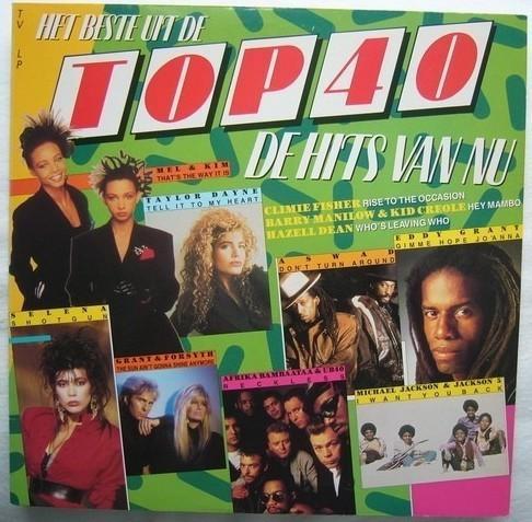 LP: Het Beste Uit De Top 40 1988 VERZAMEL ELPEE VINYL, Cd's en Dvd's, Vinyl | Verzamelalbums, Zo goed als nieuw, Pop, 12 inch