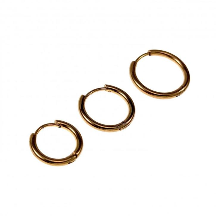 Oorbellen Earrings Unisex Verguld RVS Drie Stuks Oorringen, Sieraden, Tassen en Uiterlijk, Oorbellen, Nieuw, Hangers, Overige materialen