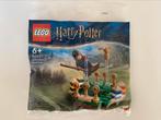 Lego Harry Potter Quidditch Practice Set 30651 Sealed, Verzamelen, Harry Potter, Nieuw, Actiefiguurtje, Ophalen of Verzenden