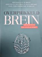 Charlotte Labee - Overprikkeld brein, Ophalen of Verzenden, Zo goed als nieuw, Charlotte Labee