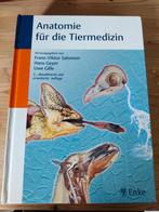 Salomon Franz-Viktor - 9783830410751, Ophalen of Verzenden, Zo goed als nieuw, Salomon Franz-Viktor