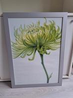 KOOPJE Mooie  grijze lijst met poster achter glas 57x77 cm, Ophalen, Zo goed als nieuw
