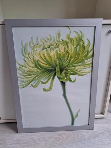  KOOPJE Mooie  grijze lijst met poster achter glas 57x77 cm beschikbaar voor biedingen