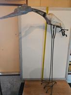 Kraanvogel, Ophalen of Verzenden