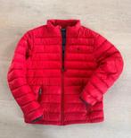 Ralph lauren tussenjas, Ophalen of Verzenden, Gedragen, Maat 34 (XS) of kleiner, Rood