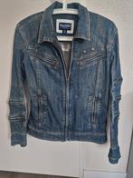 Triumph Motorjas Dames Maat S, Ophalen of Verzenden, Dames