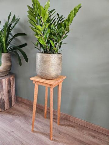 Houten blank houten plantentafel / bijzettafel beschikbaar voor biedingen