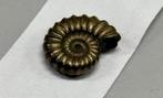 Iron pyrite ammonite fossil - Fossiel 196 miljoen jaar oud, Ophalen of Verzenden, Fossiel