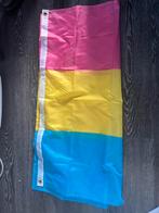 Pansexuele vlag, Diversen, Vlaggen en Wimpels, Ophalen, Zo goed als nieuw
