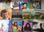 LPs Nederlands, Ophalen, Gebruikt, 12 inch, Levenslied of Smartlap