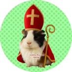 L729 icing frosting cavia sinterklaas 20cm eetbare taart top, Hobby en Vrije tijd, Ophalen of Verzenden, Nieuw, Taarten, Versiering