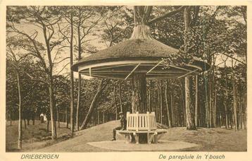 (381-019-021) Driebergen De parapluie in 't Bosch beschikbaar voor biedingen