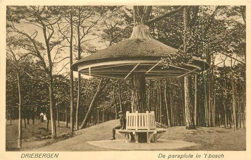 (381-019-021) Driebergen De parapluie in 't Bosch, Verzamelen, Ansichtkaarten | Nederland, Utrecht, Verzenden