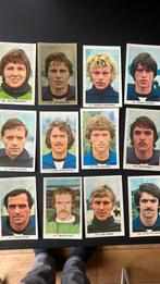 Nec panini vanderhout 1979-1980, Ophalen of Verzenden, Zo goed als nieuw, Overige binnenlandse clubs, Poster, Plaatje of Sticker