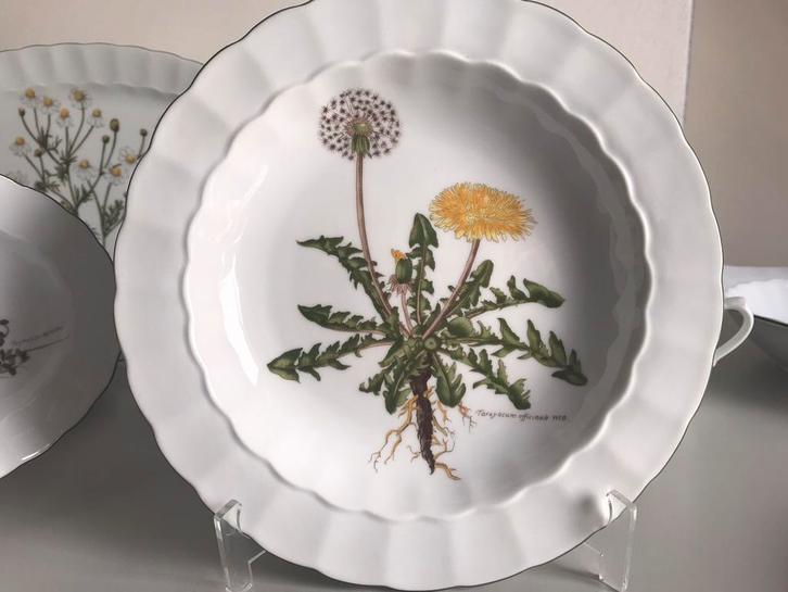 Botanische serviesonderdelen Eschenbach. 🌱🌸🌼 Tópconditie, Antiek en Kunst, Antiek | Servies los, Ophalen