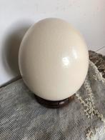 Struisvogel ei /houder/ Struthio Camelus, Ophalen of Verzenden