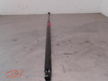 Set Gasdempers Achterklep van een Renault Trafic beschikbaar voor biedingen