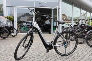 Pegasus Ravenna EVO 5 l Bosch Performance l 500wh l 55cm beschikbaar voor biedingen