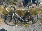 Focus Cayo Racefiets - 11 Speed, 28 inch, Gebruikt, Carbon, Heren