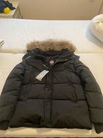 Jas maat m, Kleding | Dames, Ophalen of Verzenden, Nieuw