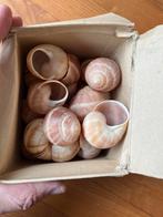 Slakken / Escargots setje - Menetrel, Ophalen