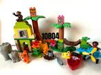 Lego Duplo 10804 - Jungle, Kinderen en Baby's, Speelgoed | Duplo en Lego, Ophalen of Verzenden, Gebruikt, Duplo