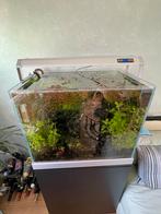 Mooi aquarium Trofis Heros H-600 100L met inhoud, Ophalen, Zo goed als nieuw, Gevuld zoetwateraquarium