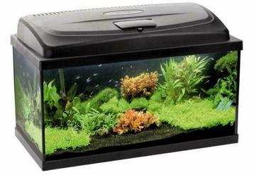 Classic aquarium 60, 80, 100,120 en 150 cm breed, incl.  led beschikbaar voor biedingen
