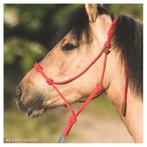 Handgeknoopt Touwhalster Pony, Nieuw, Overige soorten, Ophalen of Verzenden
