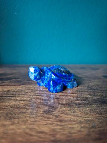 Schildpad lapis lazuli beschikbaar voor biedingen