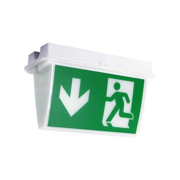 OPBOUW NOODVERLICHTING TRINCULO beschikbaar voor biedingen