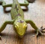 GROENE SPEELGOED HAGEDIS, Ophalen of Verzenden, Gebruikt, Reptiel of Amfibie, Beeldje of Figuurtje