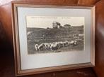 Oude foto Texel De Koog Schapen, Ophalen of Verzenden, Gebruikt, Overige onderwerpen, Foto
