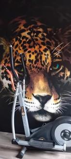 Crosstrainer, Sport en Fitness, Fitnessapparatuur, Ophalen