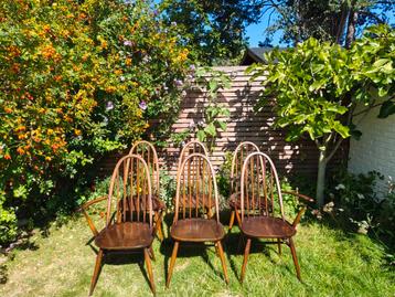Ercol Quaker stoelen set van 6 (2 armstoelen) €100-150/stuk beschikbaar voor biedingen