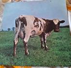 Lp Pink Floyd, Ophalen of Verzenden, Gebruikt