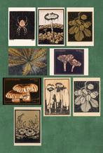 Herfst – Julie de Graag – set van 9 kunst kaarten A4, Minder dan 50 cm, Info@olphy.nl, Wandkunstkaarten.nl, Ophalen of Verzenden