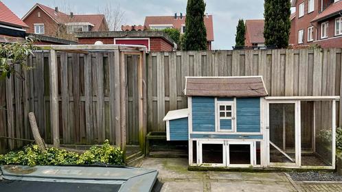 Kippenopvang vakantie - vakantieopvang kippen -kippenpension, Dieren en Toebehoren, Pluimvee, Kip, Vrouwelijk